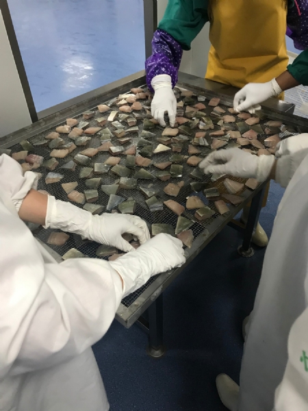 不銹鋼烘魚(yú)網(wǎng)盤