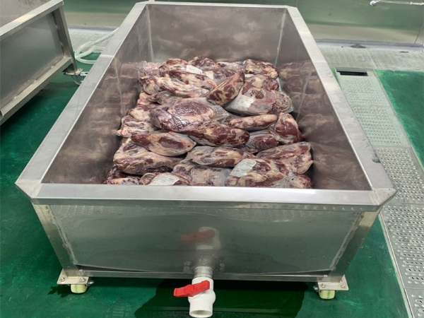 光銳不銹鋼肉類(lèi)解凍池