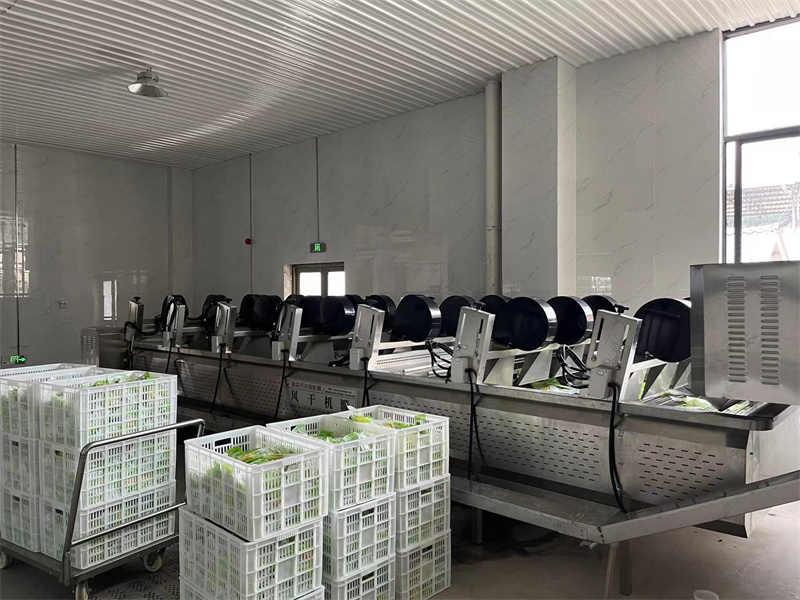 泡椒竹筍巴氏滅菌、冷卻、風(fēng)干流水線