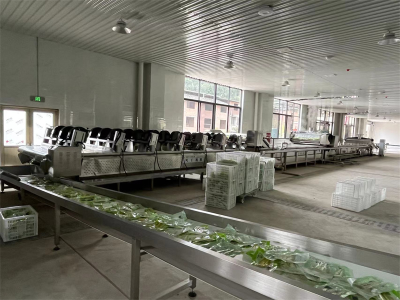 泡椒竹筍巴氏滅菌、冷卻、風(fēng)干流水線(xiàn)