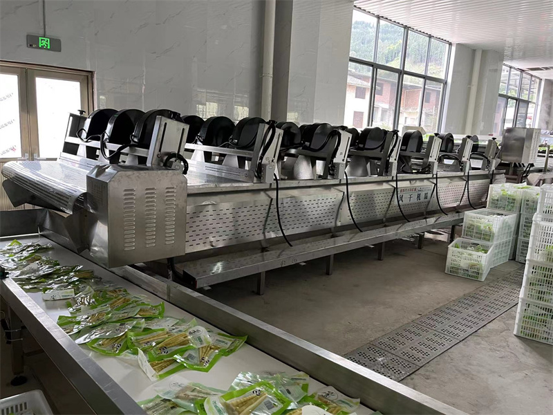泡椒竹筍巴氏滅菌、冷卻、風(fēng)干流水線