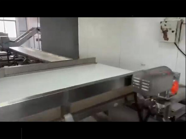 雞鴨副產(chǎn)品（魚(yú)類(lèi)、海產(chǎn)等）解凍清洗蒸煮流水線(xiàn)